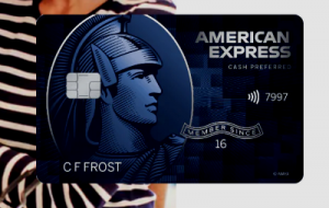 American Express My BCP Card – Blue Cash Preferred Card Offer Review ...