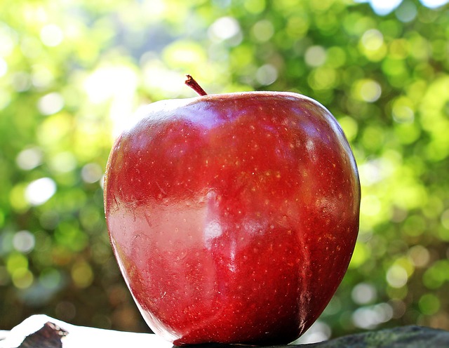 Apple Vs Fitbit Apple Gaining Ground In Fitness Smartwatches