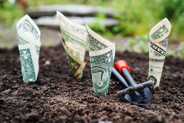 Best 5 Bank Account Promotions Offers For January 2020