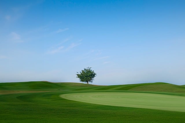 Claim 50 In Golf Course Facta Settlement Lawsuit