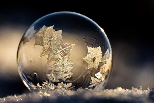 How To Freeze Your Credit For Free