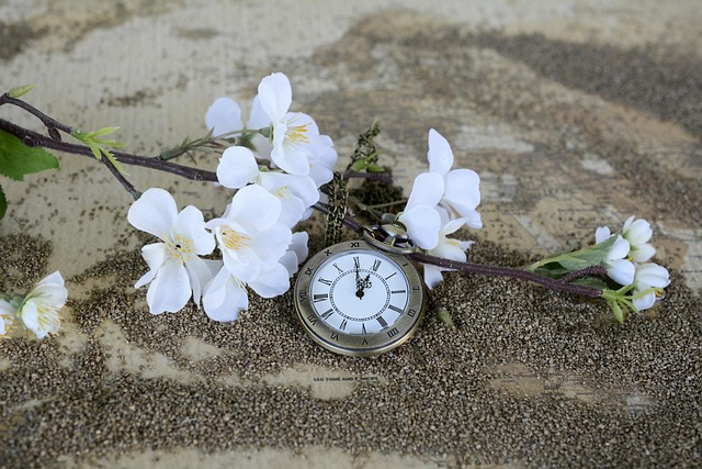 Less Working Hours In The World