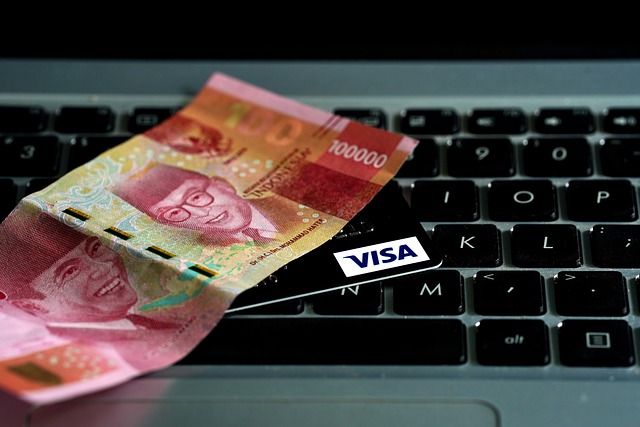 Movo Virtual Prepaid Visa Card