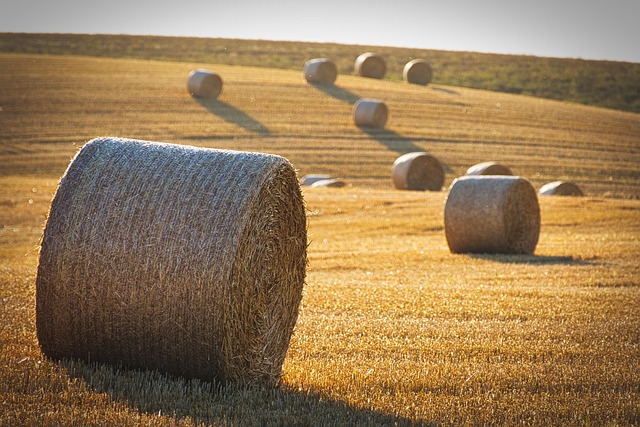 The Yield Of Impact Investing A Better World