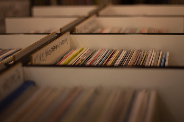 Vinyl Vs Digital Music Who Owns The Future